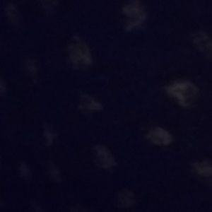 Meet your Posher, Kalina